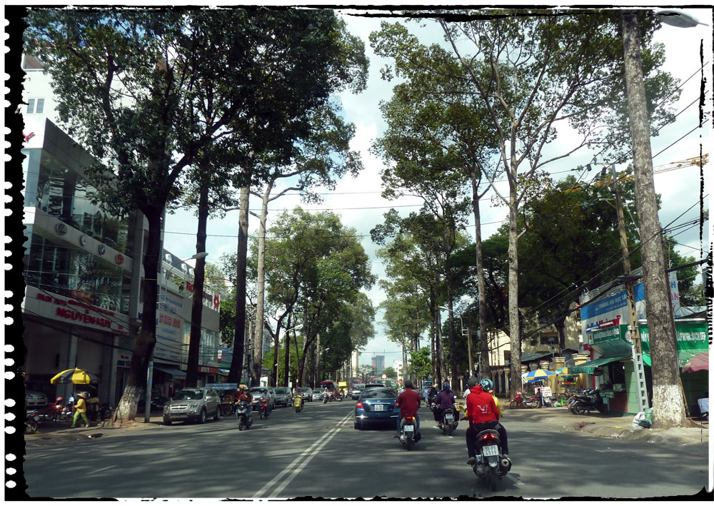 Tree Lined Roads of HCMC